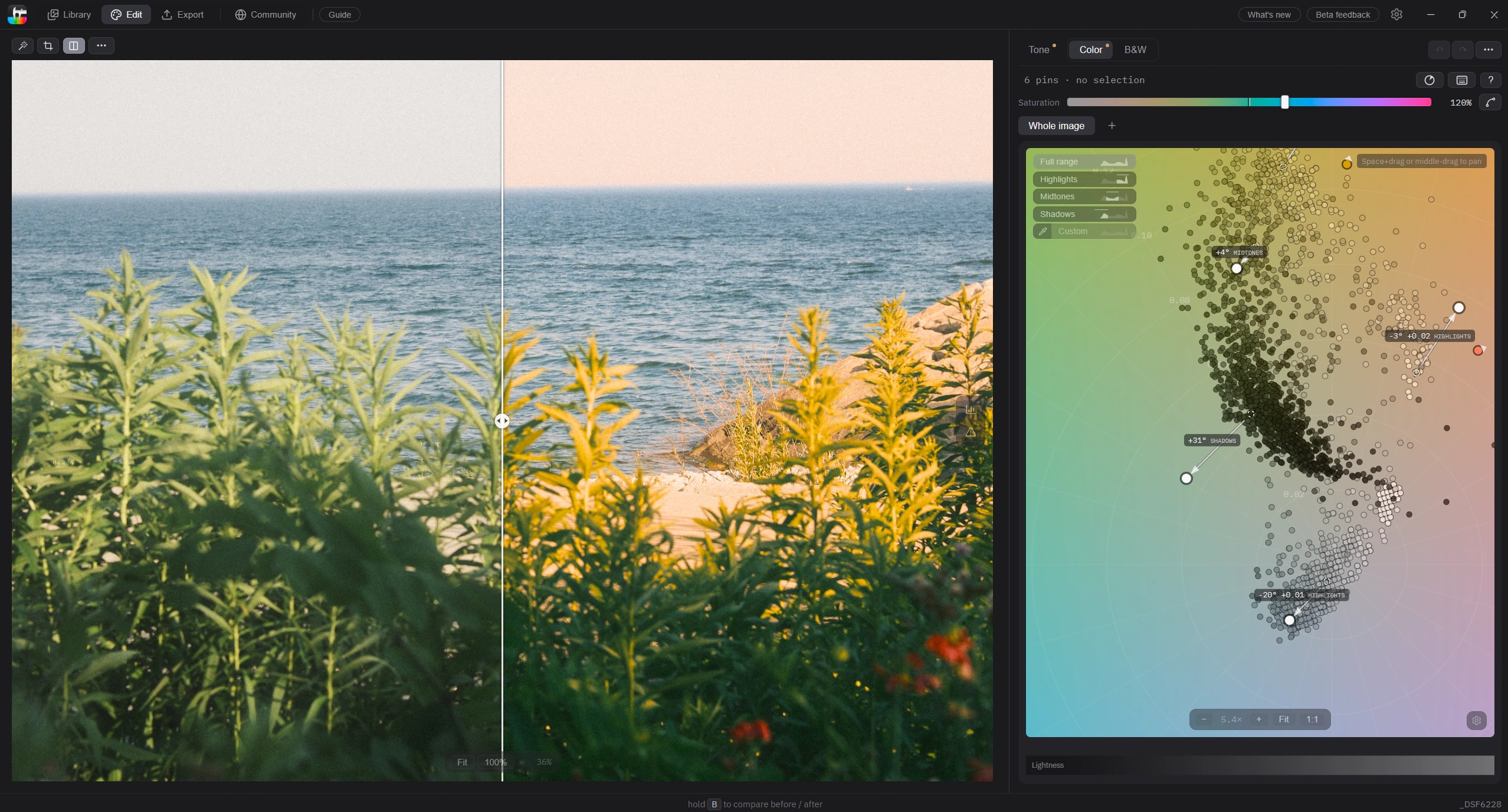 Tone Caliper showing a before-and-after photo comparison beside six color adjustments on the interactive color wheel.